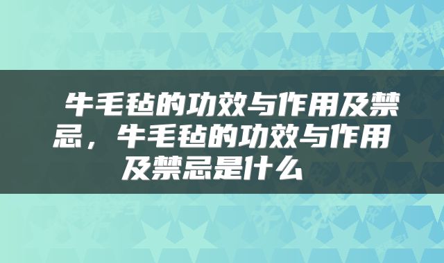  牛毛毡的功效与作用及禁忌，牛毛毡的功效与作用及禁忌是什么 