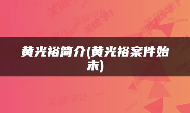黄光裕简介(黄光裕案件始末)