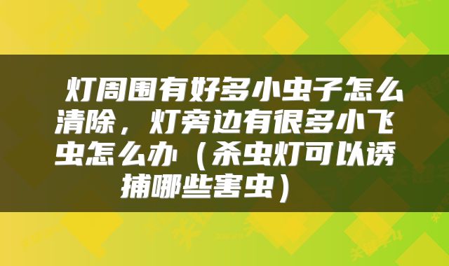  灯周围有好多小虫子怎么清除，灯旁边有很多小飞虫怎么办（杀虫灯可以诱捕哪些害虫） 