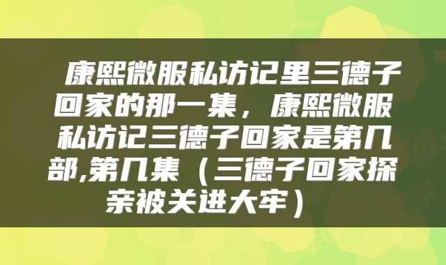  康熙微服私访记里三德子回家的那一集，康熙微服私访记三德子回家是第几部,第几集（三德子回家探亲被关进大牢） 