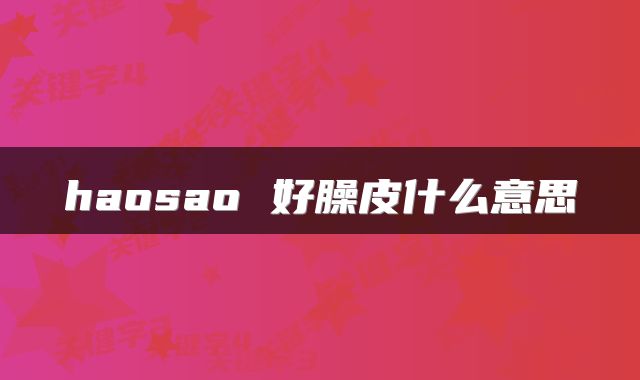 haosao 好臊皮什么意思