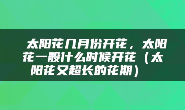  太阳花几月份开花，太阳花一般什么时候开花（太阳花又超长的花期） 