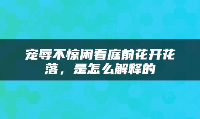 宠辱不惊闲看庭前花开花落，是怎么解释的