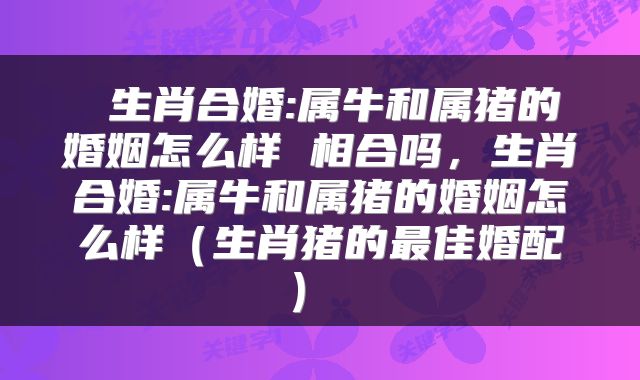  生肖合婚:属牛和属猪的婚姻怎么样 相合吗，生肖合婚:属牛和属猪的婚姻怎么样（生肖猪的最佳婚配） 