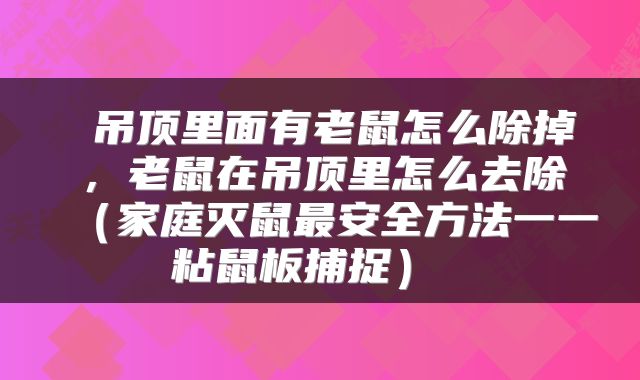 吊顶里面有老鼠怎么除掉,老鼠在吊顶里怎么去除(家庭灭鼠最安全方法一一粘鼠板捕捉)
