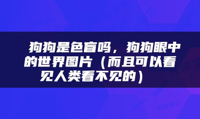  狗狗是色盲吗，狗狗眼中的世界图片（而且可以看见人类看不见的） 