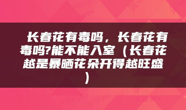  长春花有毒吗，长春花有毒吗?能不能入室（长春花越是暴晒花朵开得越旺盛） 