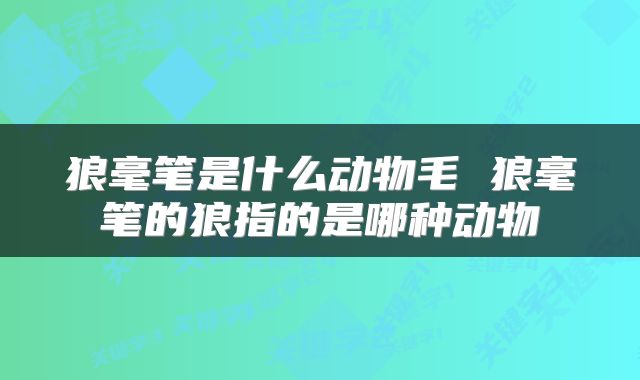 狼毫笔是什么动物毛 狼毫笔的狼指的是哪种动物