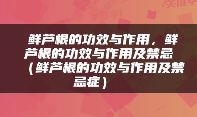  鲜芦根的功效与作用，鲜芦根的功效与作用及禁忌（鲜芦根的功效与作用及禁忌症） 