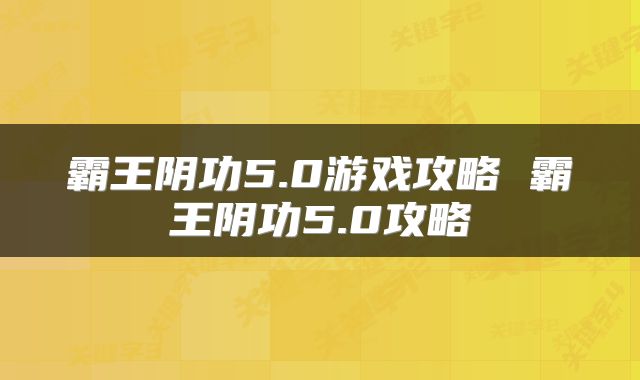 霸王阴功5.0游戏攻略 霸王阴功5.0攻略