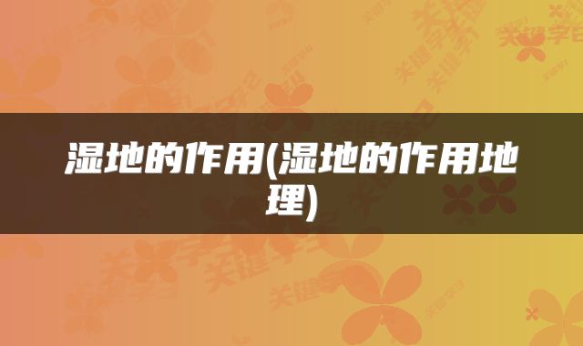 湿地的作用(湿地的作用地理)