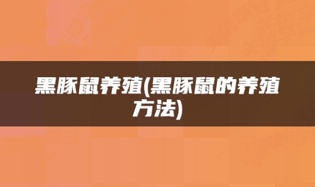 黑豚鼠养殖(黑豚鼠的养殖方法)