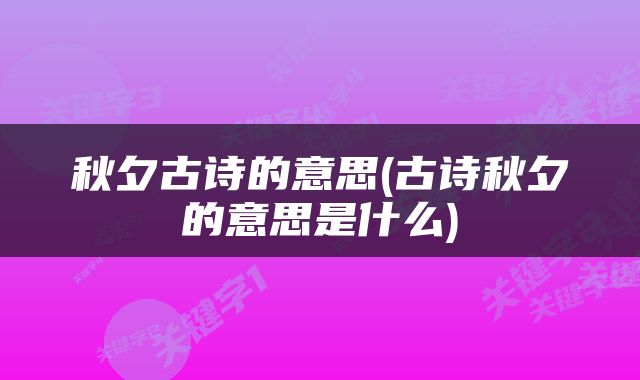 秋夕古诗的意思(古诗秋夕的意思是什么)