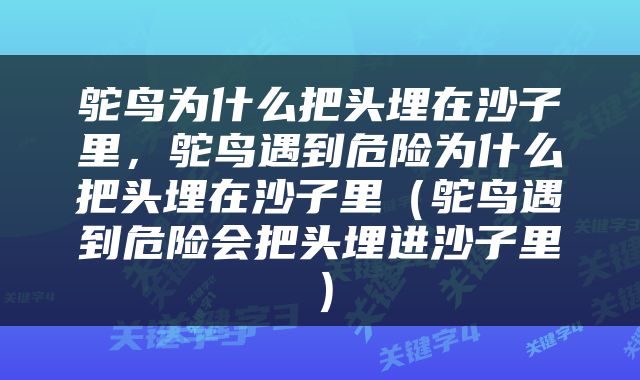鸵鸟为什么把头埋在沙子里，鸵鸟遇到危险为什么把头埋在沙子里（鸵鸟遇到危险会把头埋进沙子里）