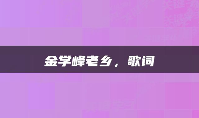 金学峰老乡，歌词