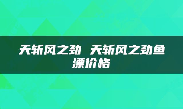 天斩风之劲 天斩风之劲鱼漂价格