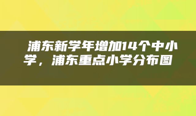  浦东新学年增加14个中小学，浦东重点小学分布图 