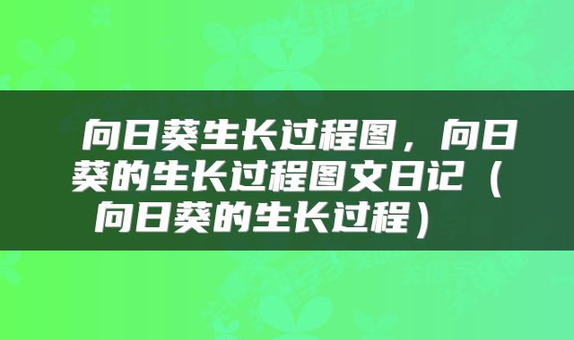 向日葵生长过程图，向日葵的生长过程图文日记（向日葵的生长过程） 