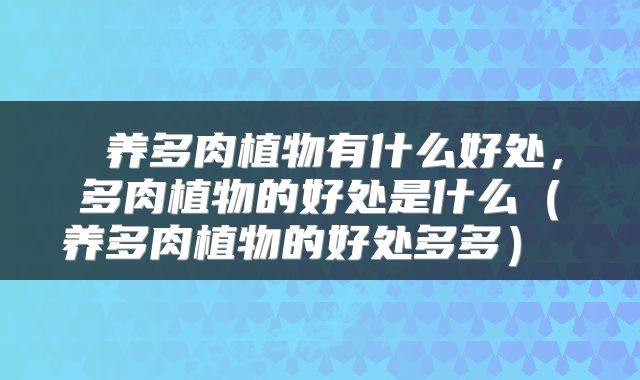  养多肉植物有什么好处，多肉植物的好处是什么（养多肉植物的好处多多） 