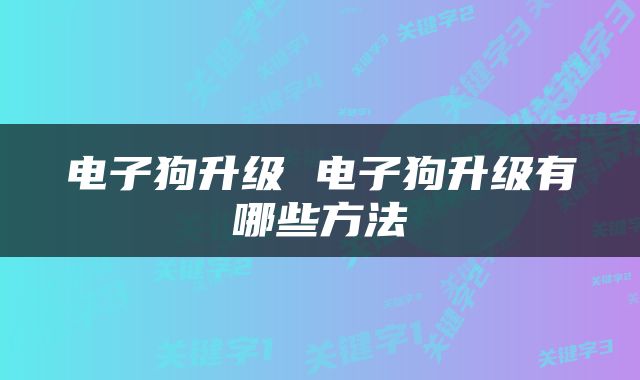 电子狗升级 电子狗升级有哪些方法
