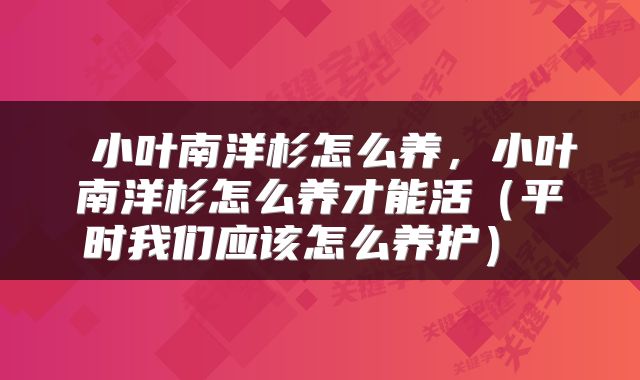 小叶南洋杉怎么养，小叶南洋杉怎么养才能活（平时我们应该怎么养护） 