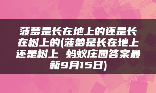 菠萝是长在地上的还是长在树上的(菠萝是长在地上还是树上 蚂蚁庄园答案最新9月15日)