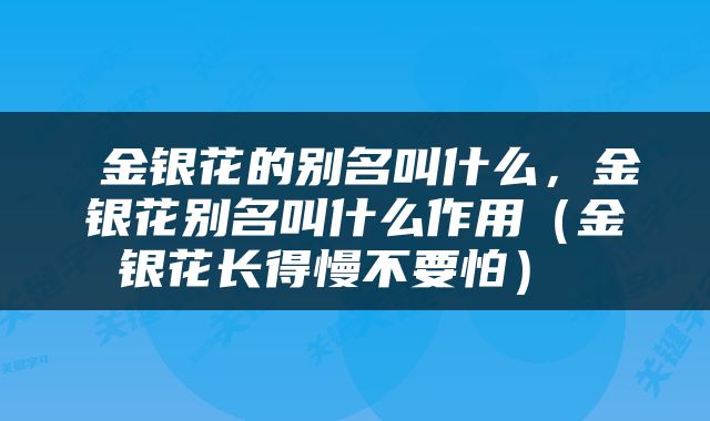  金银花的别名叫什么，金银花别名叫什么作用（金银花长得慢不要怕） 