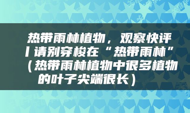  热带雨林植物，观察快评丨请别穿梭在“热带雨林”（热带雨林植物中很多植物的叶子尖端很长） 