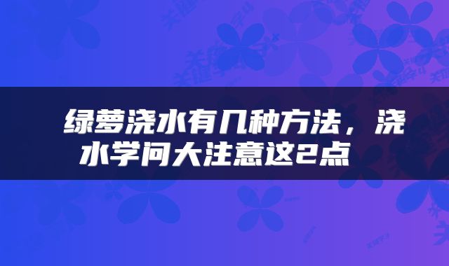  绿萝浇水有几种方法，浇水学问大注意这2点 