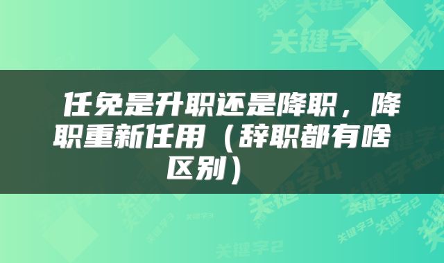  任免是升职还是降职，降职重新任用（辞职都有啥区别） 