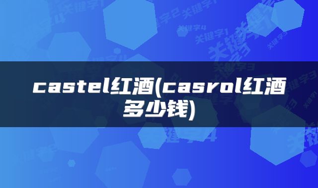 castel红酒(casrol红酒多少钱)