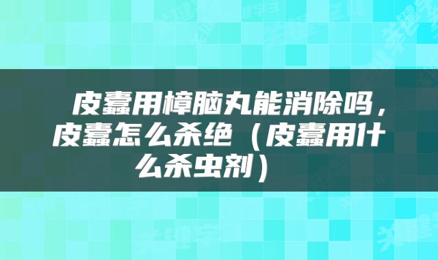  皮蠹用樟脑丸能消除吗，皮蠹怎么杀绝（皮蠹用什么杀虫剂） 