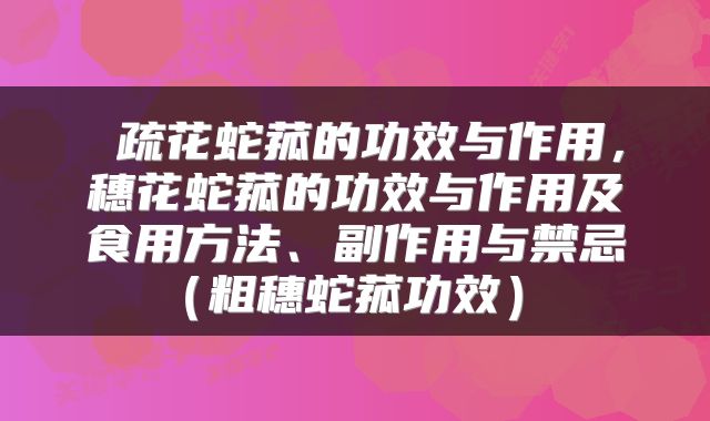 疏花蛇菰的功效与作用,穗花蛇菰的功效与作用及食用方法、副作用与禁忌(粗穗蛇菰功效)