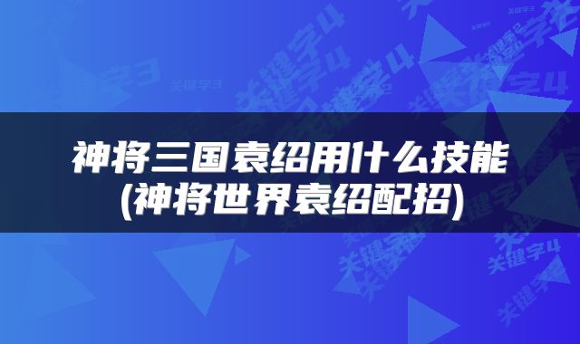 神将三国袁绍用什么技能(神将世界袁绍配招)