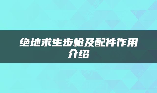 绝地求生步枪及配件作用介绍