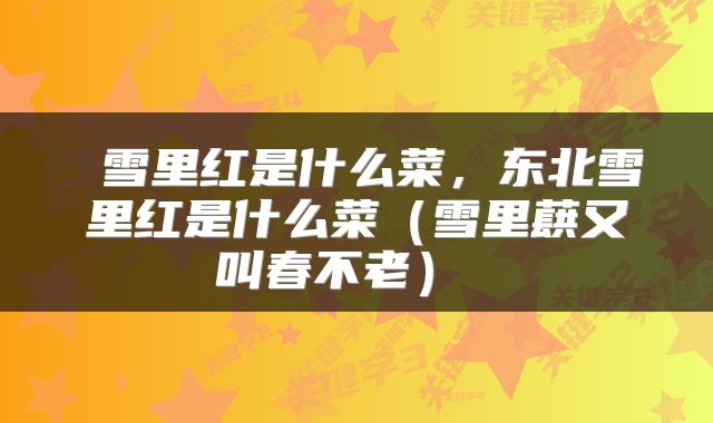 雪里红是什么菜,东北雪里红是什么菜(雪里蕻又叫春不老)