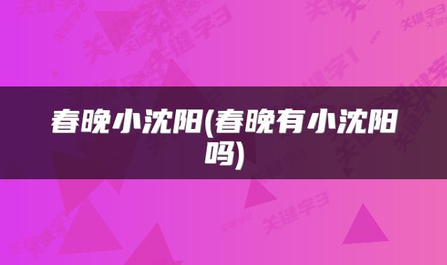 春晚小沈阳(春晚有小沈阳吗)