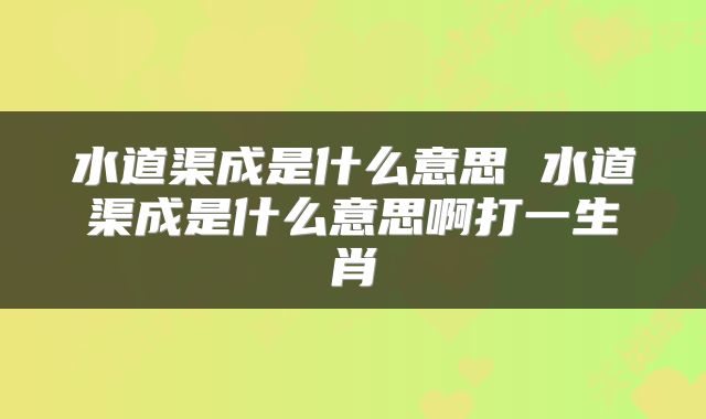 水道渠成是什么意思 水道渠成是什么意思啊打一生肖