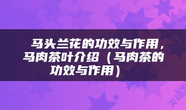  马头兰花的功效与作用，马肉茶叶介绍（马肉茶的功效与作用） 