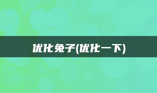 优化兔子(优化一下)