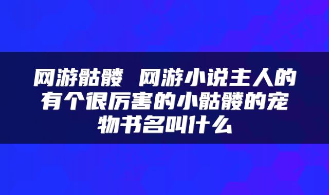 网游骷髅 网游小说主人的有个很厉害的小骷髅的宠物书名叫什么
