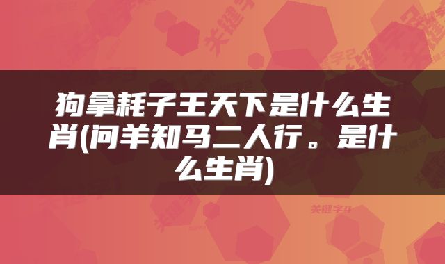狗拿耗子王天下是什么生肖(问羊知马二人行。是什么生肖)