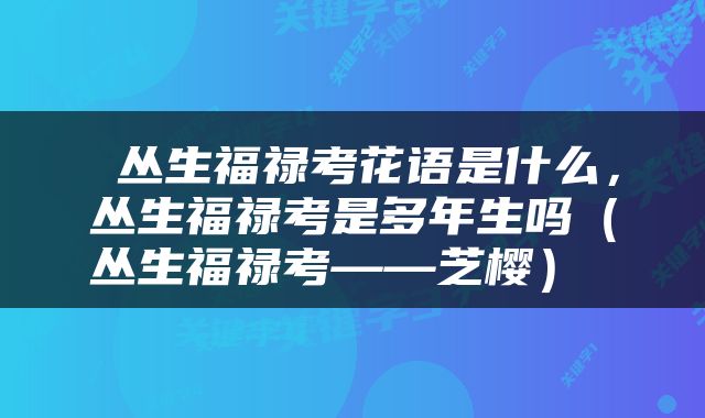  丛生福禄考花语是什么，丛生福禄考是多年生吗（丛生福禄考—―芝樱） 