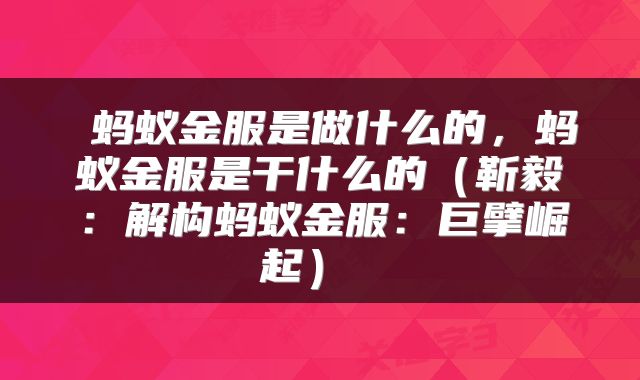  蚂蚁金服是做什么的，蚂蚁金服是干什么的（靳毅：解构蚂蚁金服：巨擘崛起） 