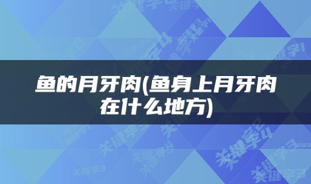 鱼的月牙肉(鱼身上月牙肉在什么地方)