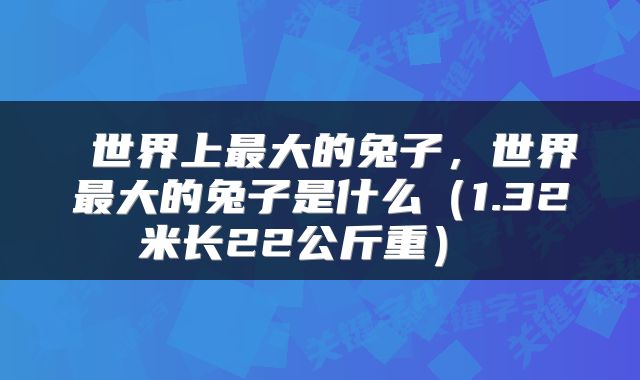 世界上最大的兔子,世界最大的兔子是什么(1.32米长22公斤重)