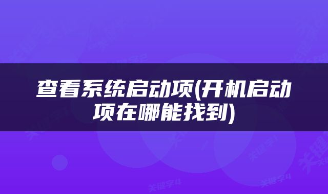 查看系统启动项(开机启动项在哪能找到)