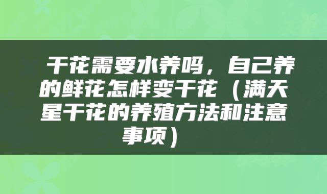  干花需要水养吗，自己养的鲜花怎样变干花（满天星干花的养殖方法和注意事项） 
