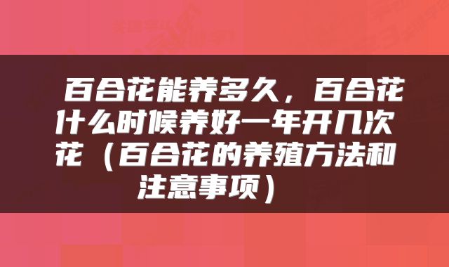  百合花能养多久，百合花什么时候养好一年开几次花（百合花的养殖方法和注意事项） 