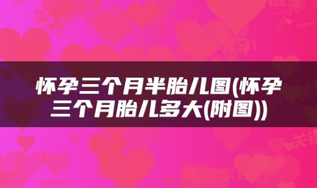 怀孕三个月半胎儿图(怀孕三个月胎儿多大(附图))